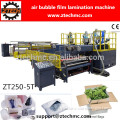 Foshan Air Bubble Film Machine from Chinese suppliers